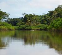 Tahuayo River